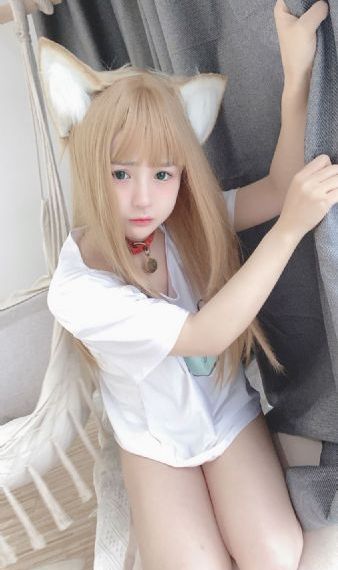 理论电影免费看